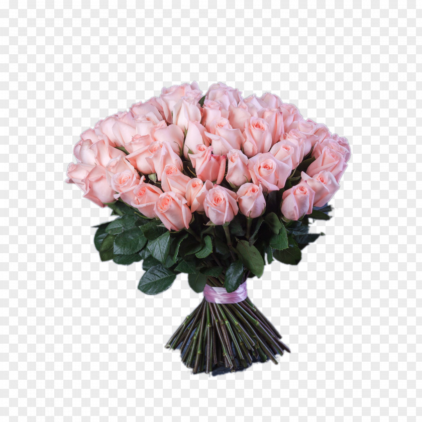 Flower Garden Roses Cabbage Rose Moscow Cut Flowers PNG
