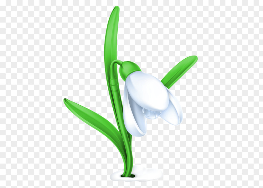 Flower Snowdrop Clip Art PNG