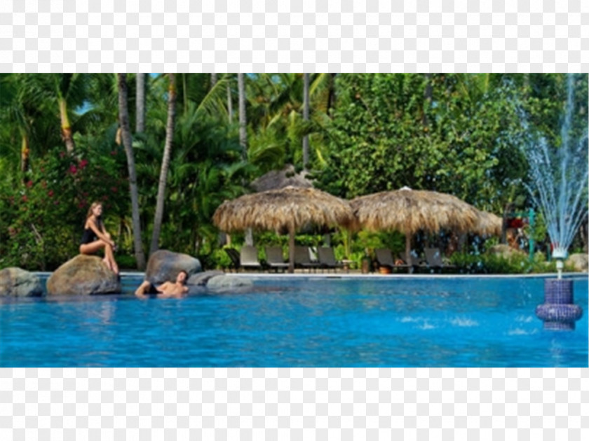 Punta Cana Swimming Pool Paradisus Resort. Leisure PNG