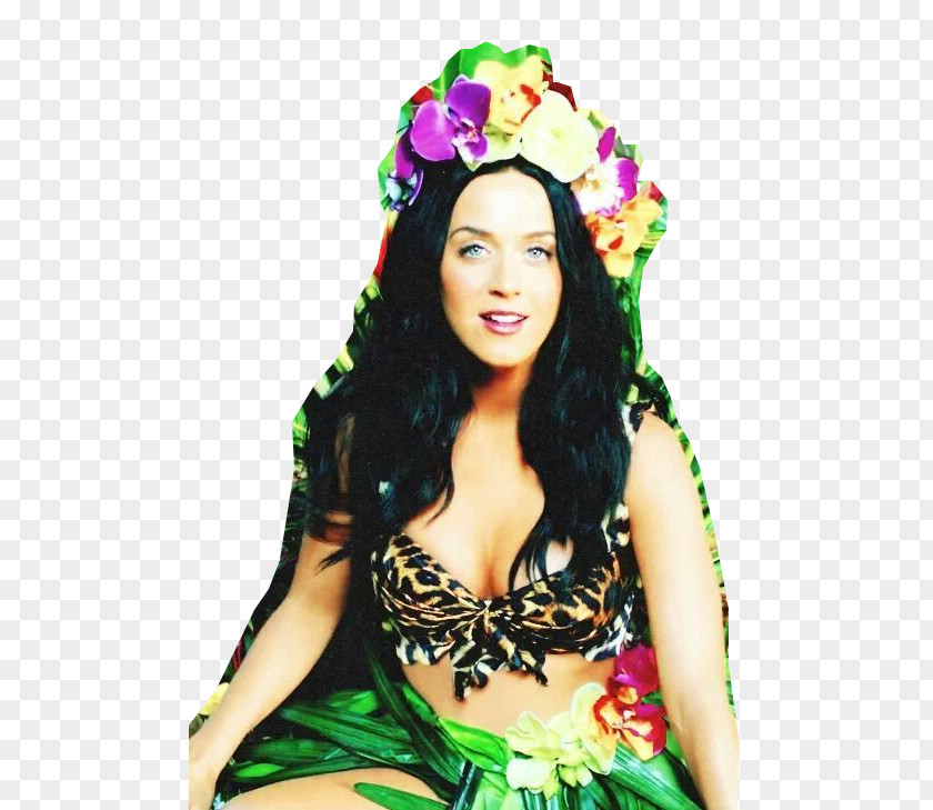 Roar Katy Perry One Of The Boys Teenage Dream PNG