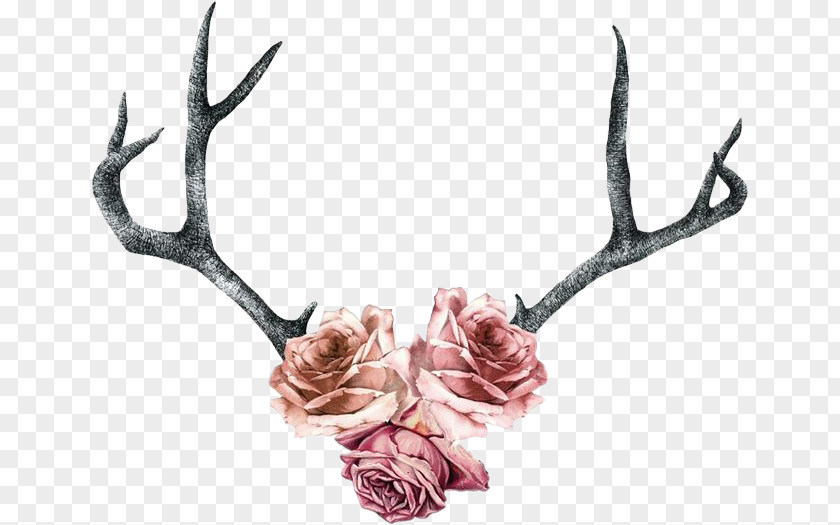 Antler Wreath Deer Tattoo Flower Horn PNG