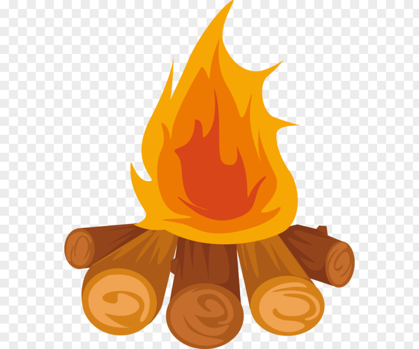 Campfire Bonfire Clip Art PNG