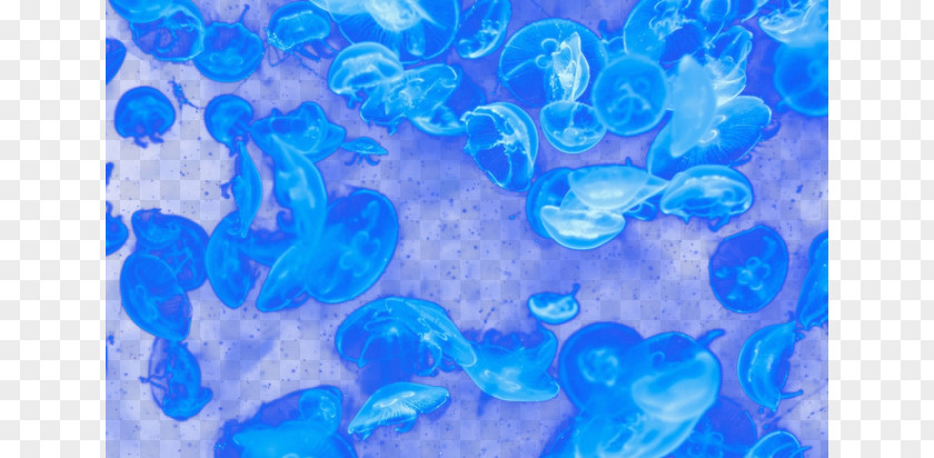 Dream Jellyfish Beasts And Super-Beasts Blue Marine Biology E-book PNG