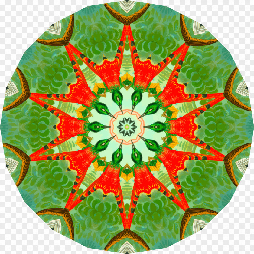 Mandala Scallop Republic Darts Game Hotel Cornhole PNG