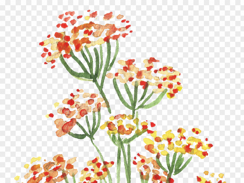 Painting Floral Design Watercolour Flowers Watercolor PNG