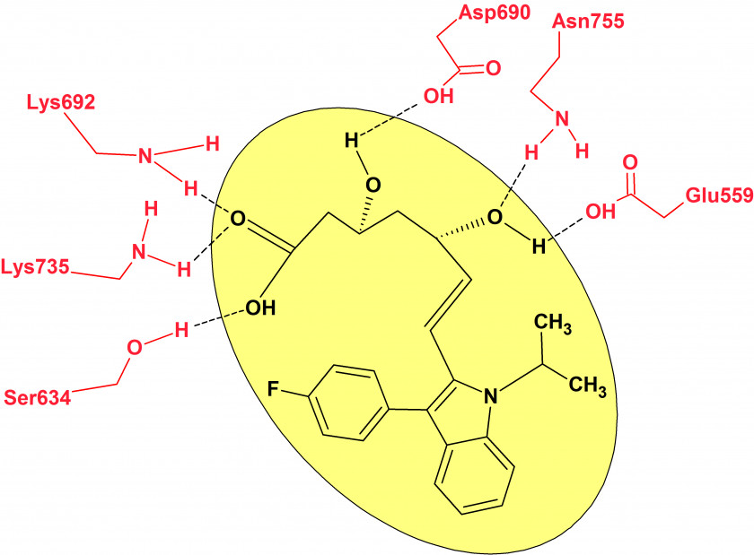 HMG-CoA Reductase Statin Reaction Inhibitor PNG