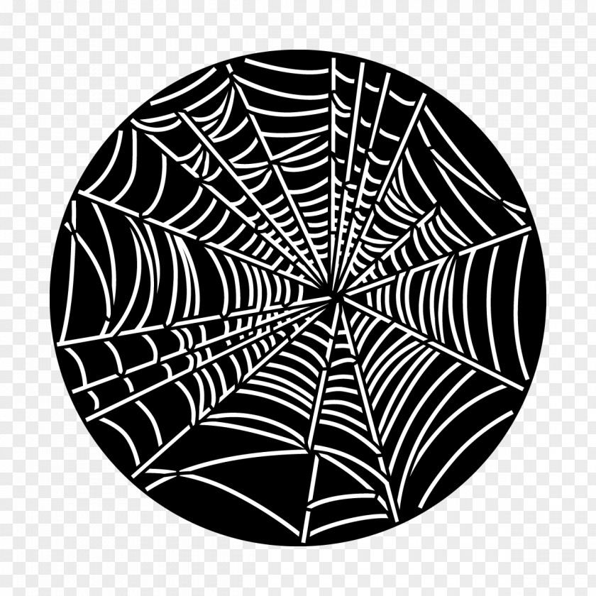 Natural Material Spider Web PNG