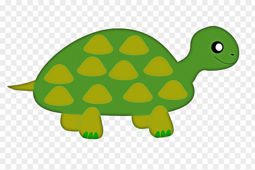 Box Turtle Toy Sea Background PNG