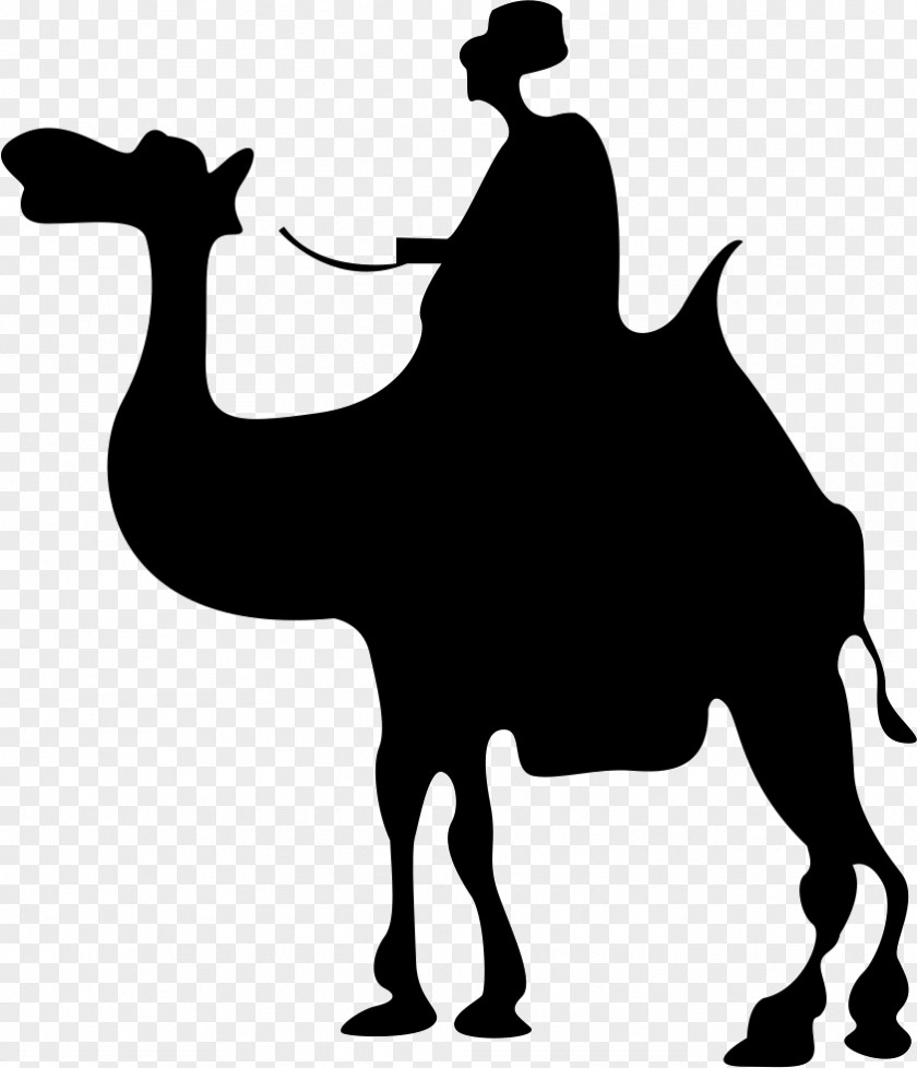Camel Silhouette PNG