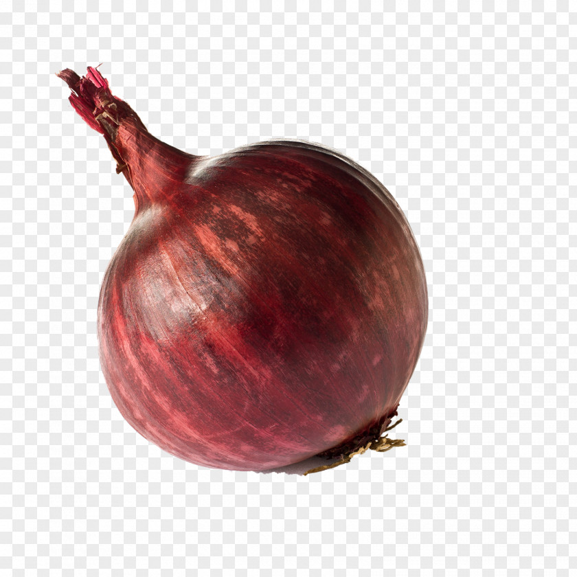 Onion Red Ramen Organic Food PNG
