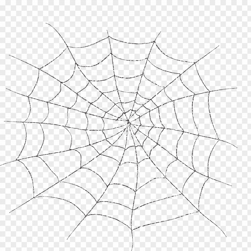 Spider Web Pattern PNG