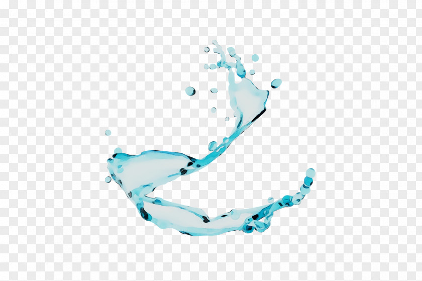 Water Desktop Wallpaper Graphics Product Design Organism PNG