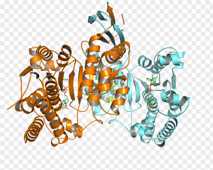 Biotechnology German Cancer Research Center Leukemia Mutation PNG