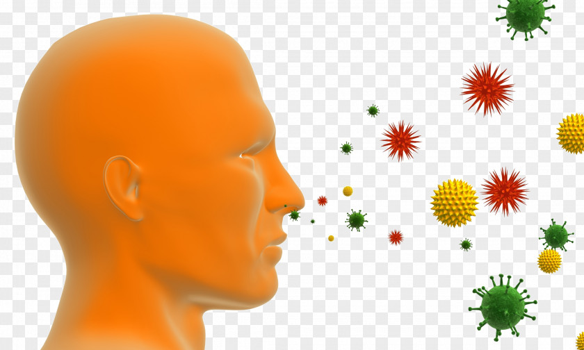 Allergy Clip Art Stock Illustration Photography PNG