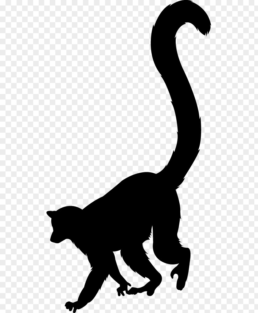 Cat Lemurs Silhouette Ring-tailed Lemur Clip Art PNG