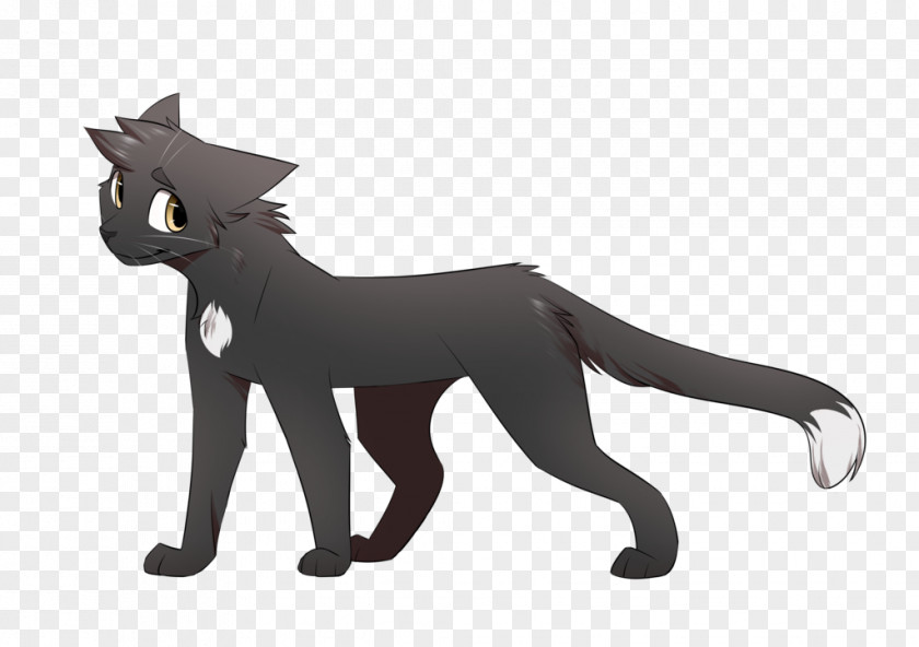 Cat Whiskers Warriors Ravenpaw Fan Art PNG