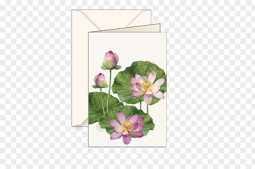 Flower Floral Design Paper Cut Flowers PNG