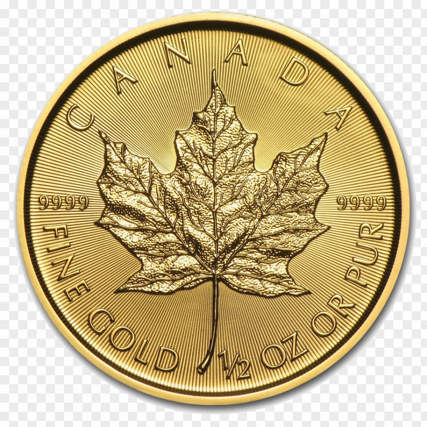 Gold Coin Canadian Maple Leaf Bullion Silver PNG