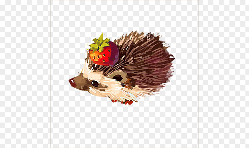 Watercolor Hedgehog Drawing Art Illustration PNG