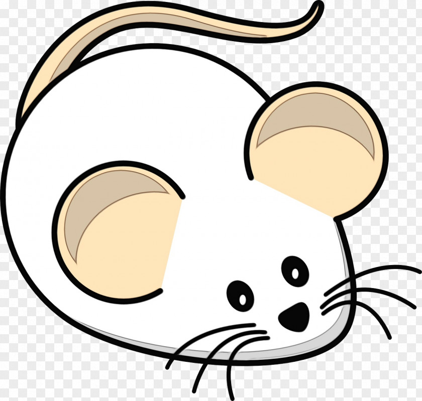 Whiskers Coloring Book Watercolor PNG