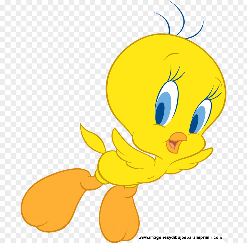 Bird Tweety Sylvester Looney Tunes Clip Art PNG