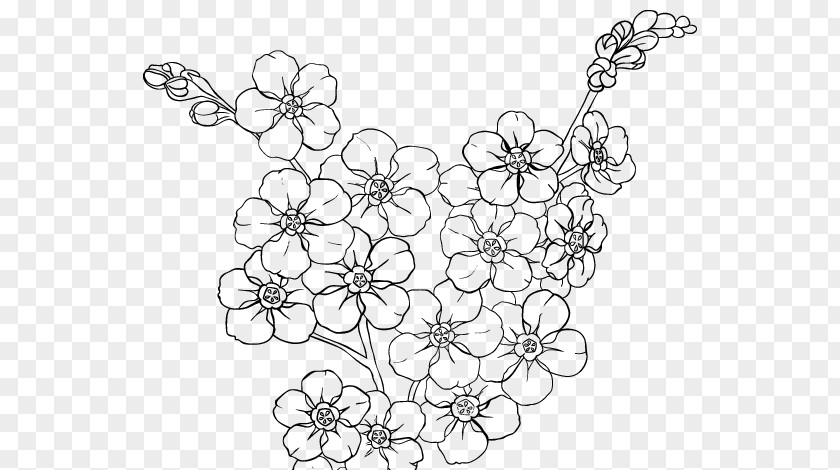 Cerejeira Cherry Blossom Drawing Coloring Book Cerasus Flower PNG