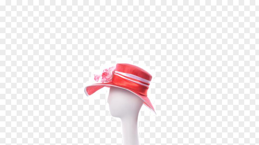 Melbourne Cup Day Hat PNG
