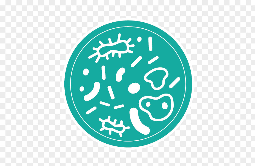 Petri Dish Dishes Logo Microbiological Culture Agar Cell PNG