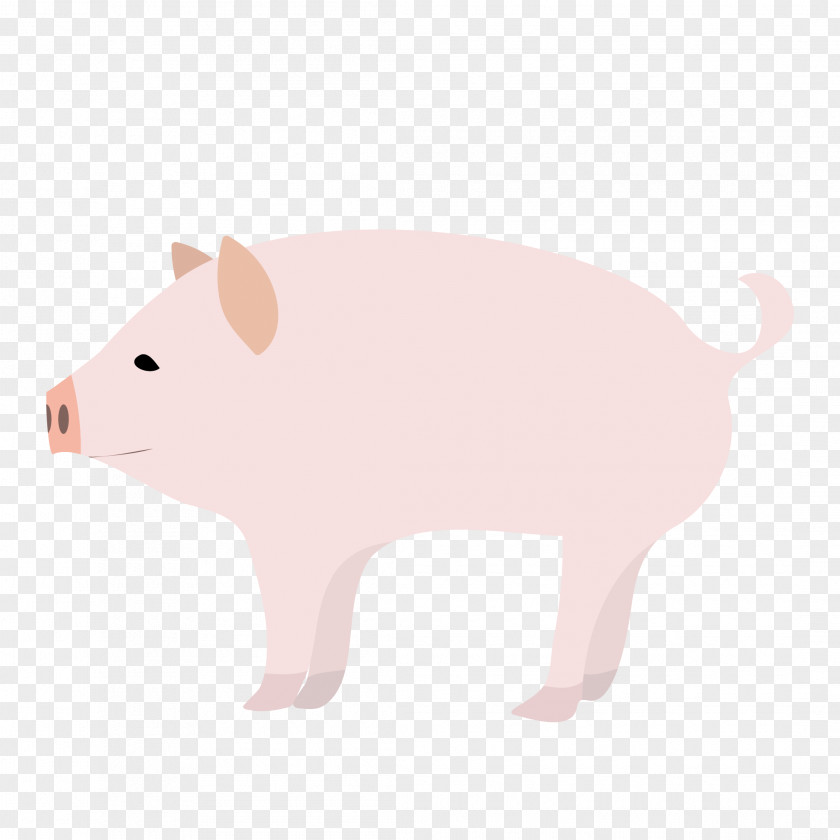 Pig Domestic Computer Mouse Clip Art Snout PNG