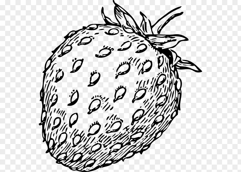 Strawberry Tree Pie Shortcake Clip Art PNG