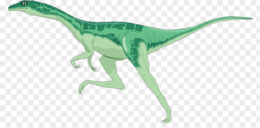 Dinosaur Dinosaurus The Lost World Velociraptor Brachiosaurus Stegosaurus PNG