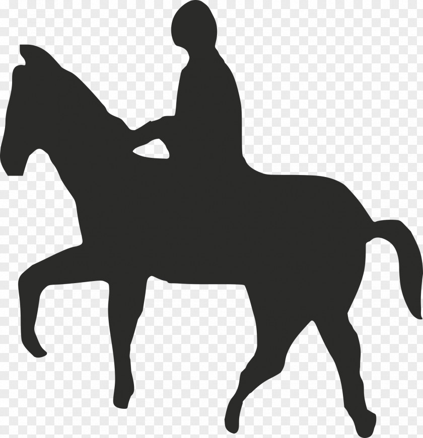 Headless Horseman Horse Equestrian English Riding Equine Therapy Rein PNG