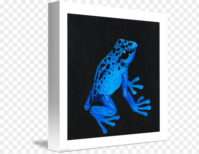 Poison Dart Frog Tree Cobalt Blue Picture Frames PNG