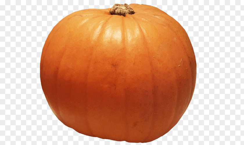 Pumpkin Calabaza Cucurbita Winter Squash Gourd PNG