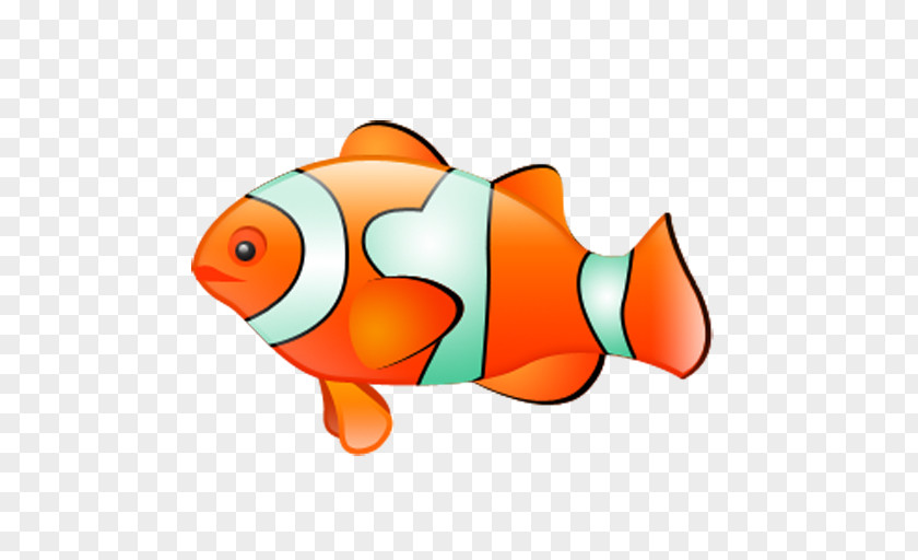 Tropical Clownfish Clip Art PNG