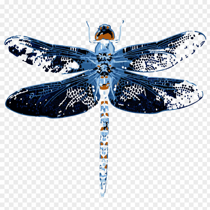 Arthropod Invertebrate Butterfly Cartoon PNG