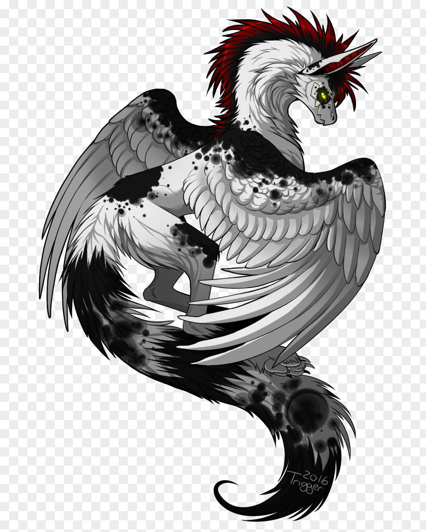 Dragon Rooster Bird Of Prey Beak PNG