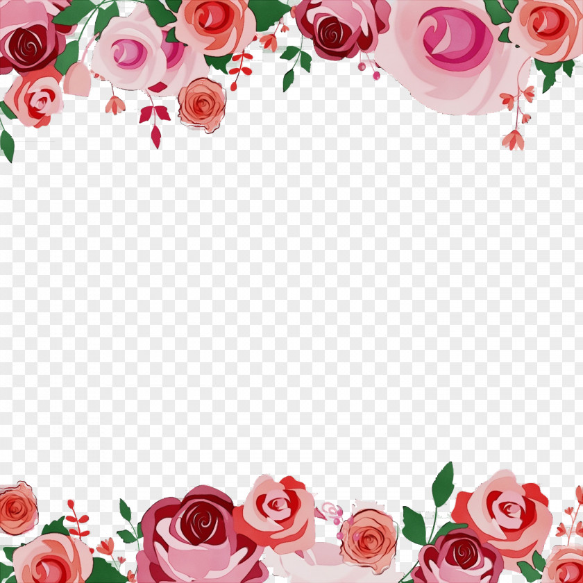 Garden Roses PNG