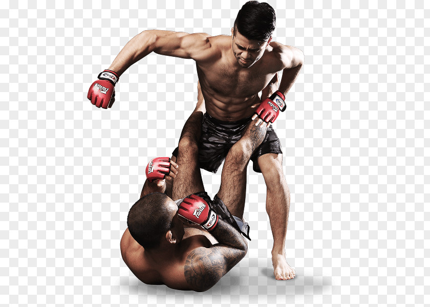 MMA File Mixed Martial Arts Evolve PNG