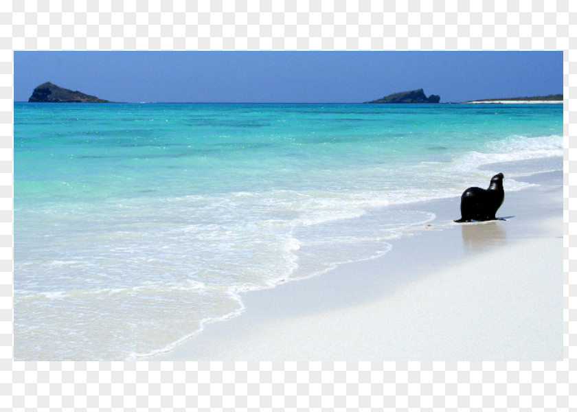 Sea Caribbean Beach Coast Ocean PNG