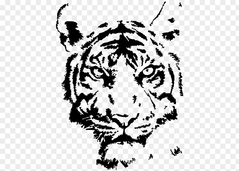 Tiger Drawing Stencil PNG