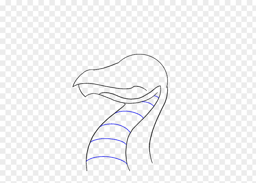 Dolphin Line Art Clip PNG