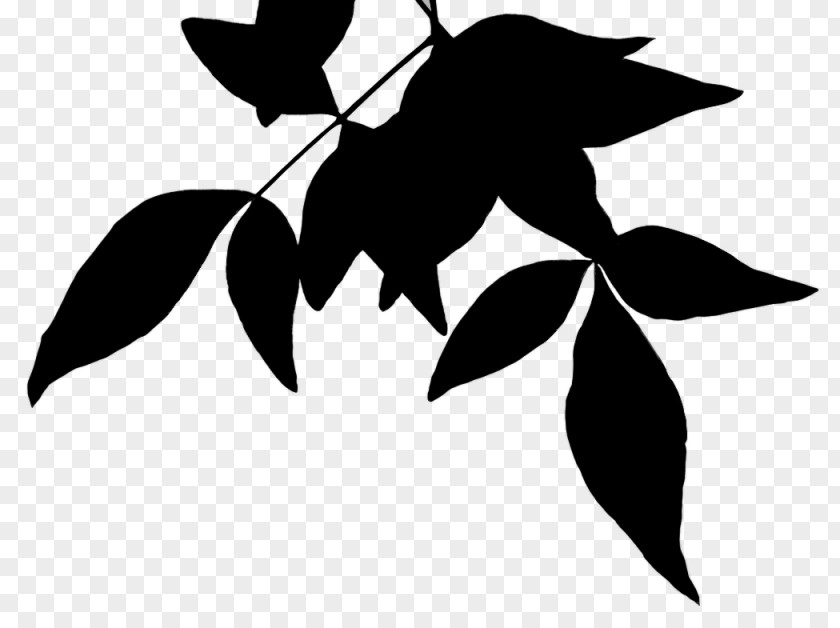 M Silhouette Flower Leaf Black & White PNG