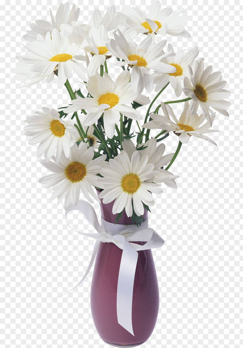 Camomile Flower Bouquet Art Photography Love PNG