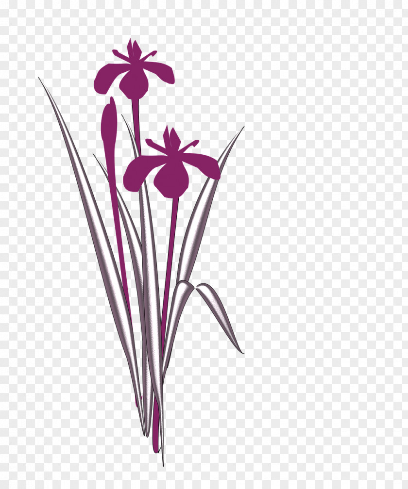 Flower Irises Clip Art Image PNG