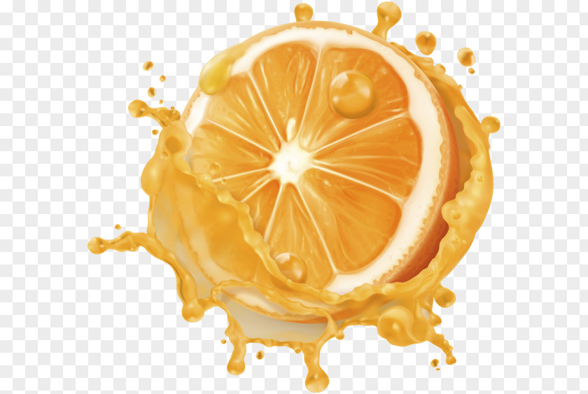 Juice Orange Tomato Grapefruit Vector Graphics PNG