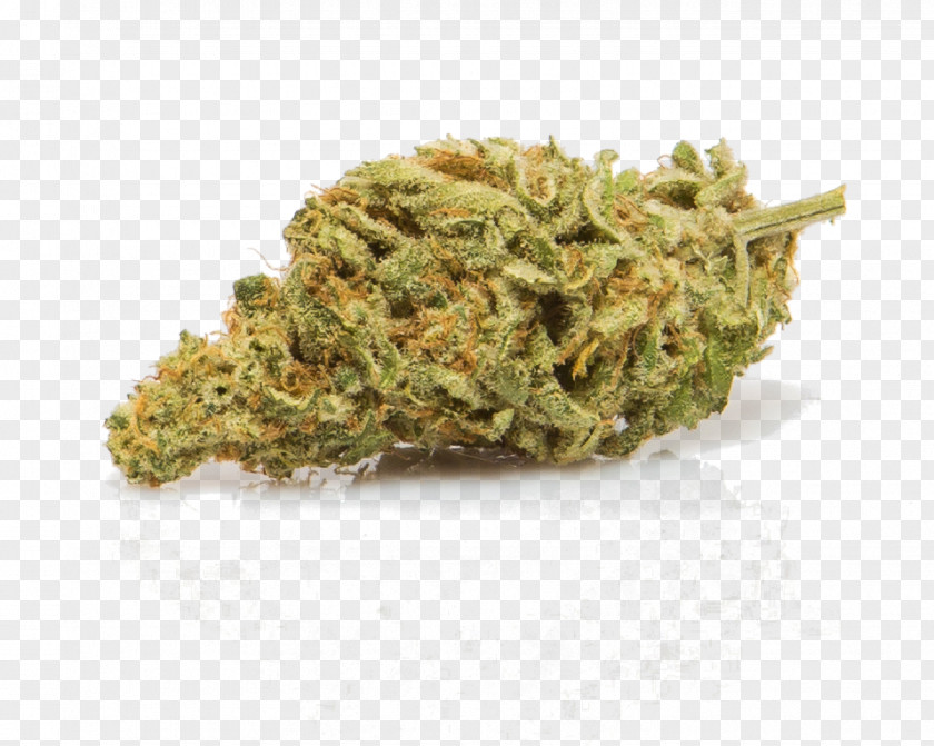 Northern Lights Cannabis Sativa Oregon Hemp Weedmaps Italy PNG