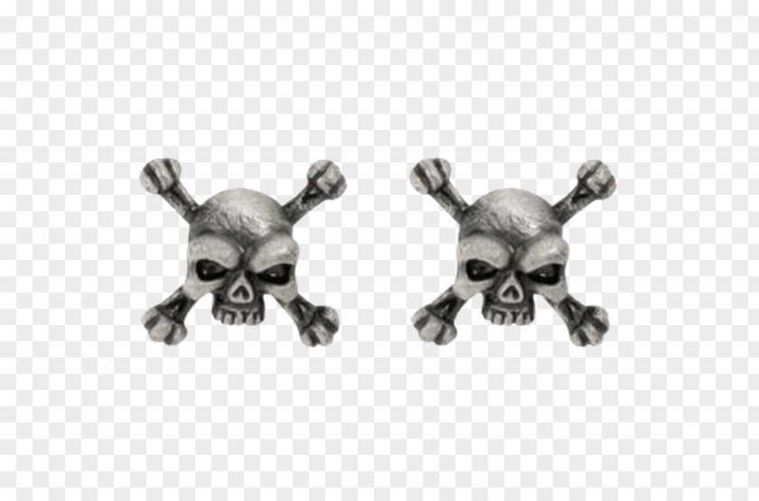 Skull Earring And Crossbones Necklace Jewellery PNG