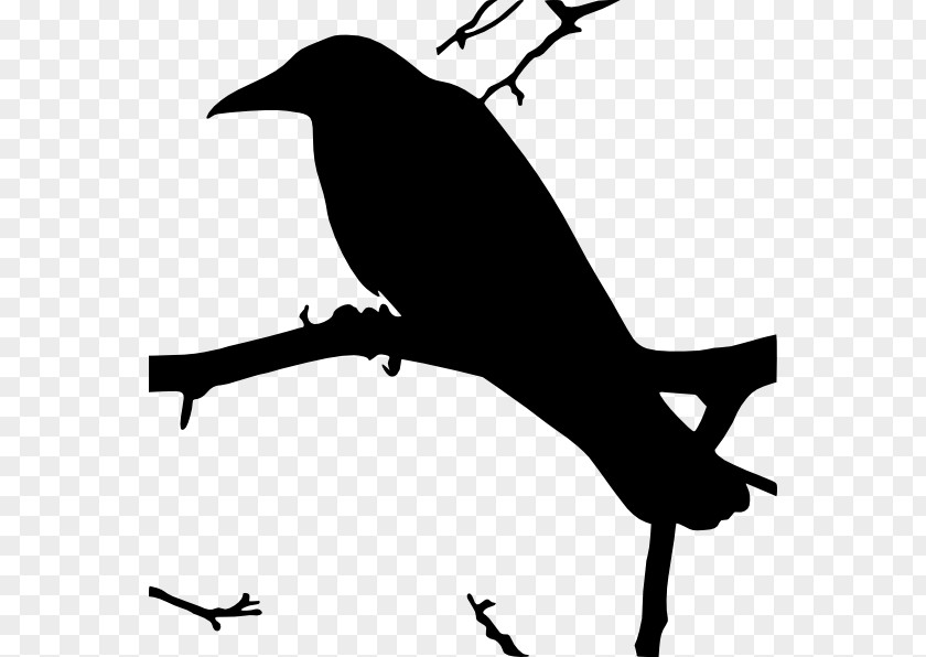 The Raven Common Clip Art PNG