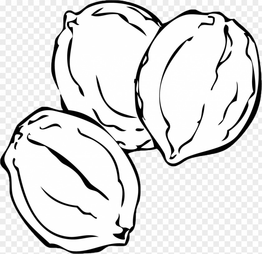 Walnut Coloring Book Nut Drawing Pistachio Clip Art PNG